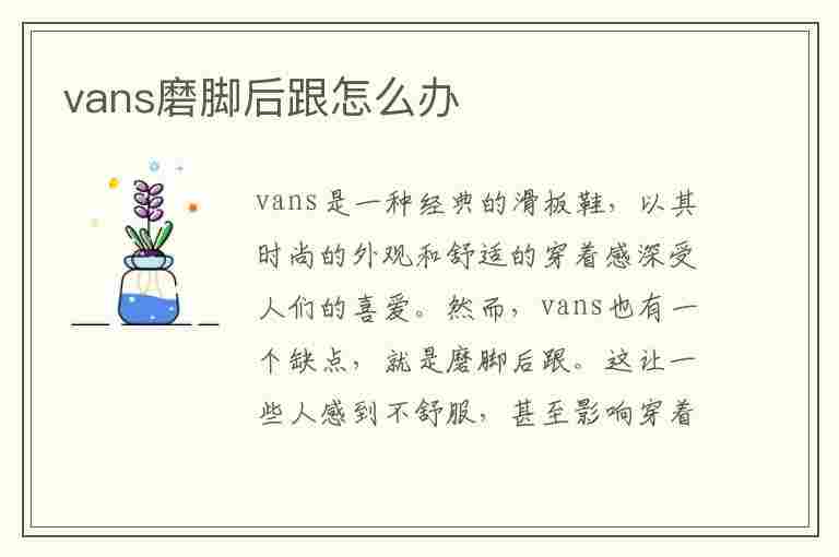 vans磨脚后跟怎么办(vans磨脚后跟正常吗)